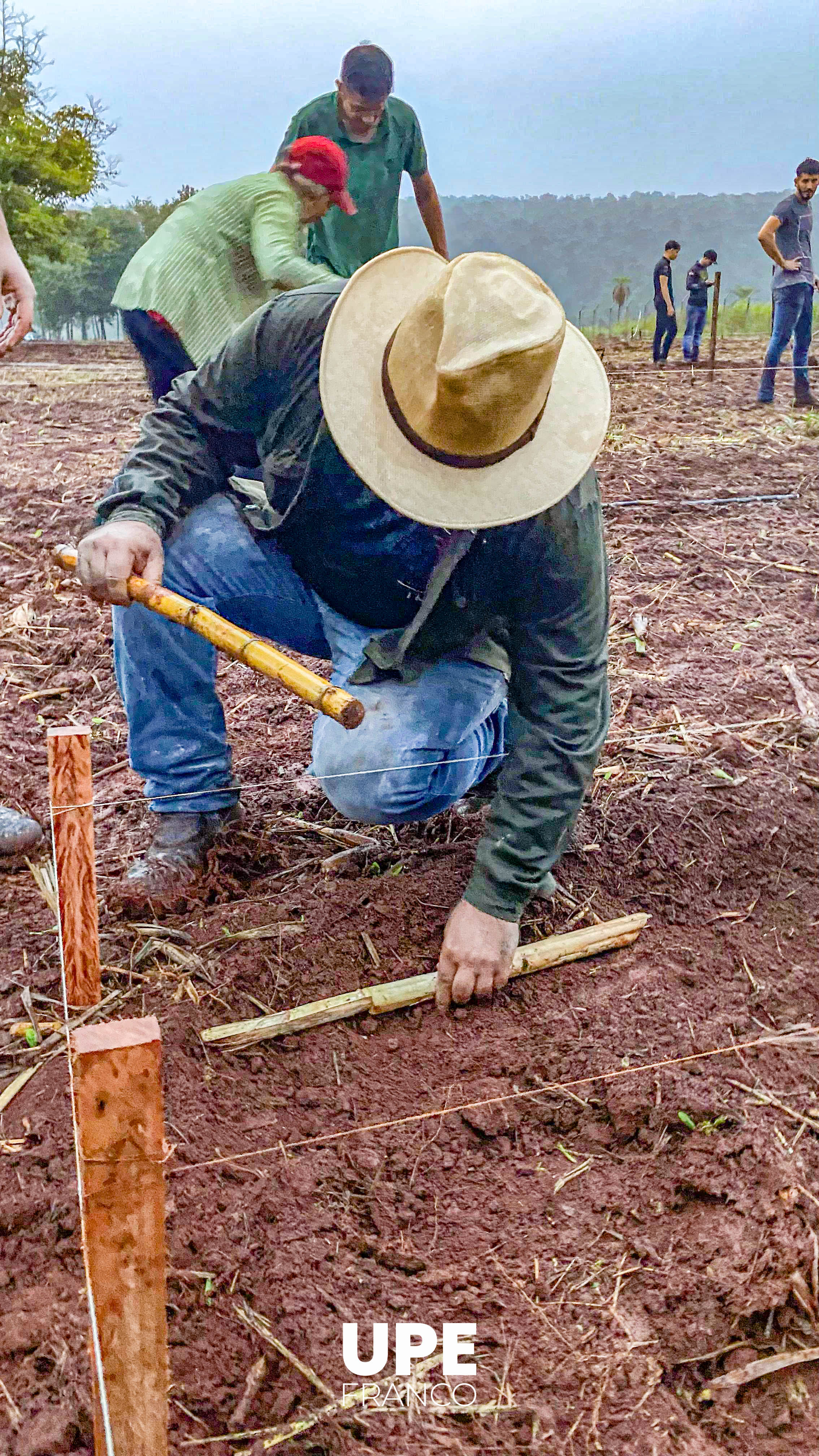 Estudiantes de Agronomía fortalecen su formación en Pasturas y Forrajes